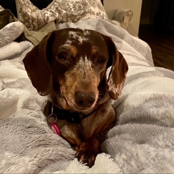 Meet your Posher, Melissa - Picture 3 of 4